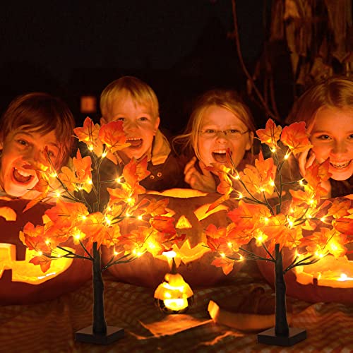 2 Pack Lighted Maple Tree 20 Inch 48LED Fall Artificial Tree for Thanksgiving Harvest Indoor Decoration (2 Count)