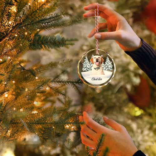 Custom Pet Christmas Ornament with Photo
