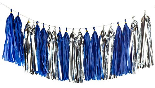 Shiny Tassel Garland Tissue Colorful Paper Tassel Banner (20 Count)