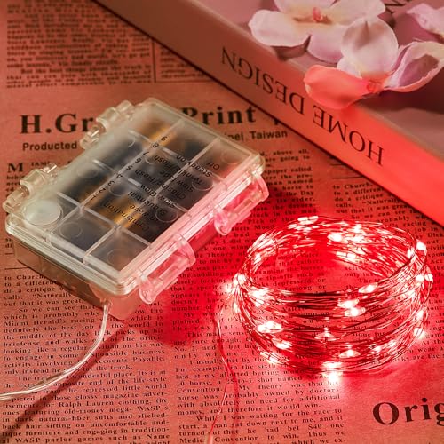 1 Pack 16.4 Ft. Battery Operated Outdoor String Lights with Remote & Timer