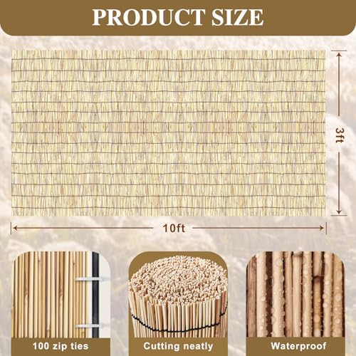 Bamboo Reed Fencing