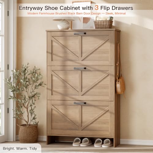 Shoe Cabinet for Entryway