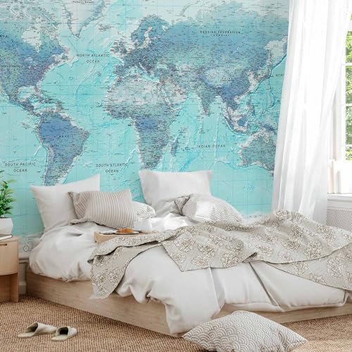 Wall Mural World Map 173x124 in (149.51 Sq Ft)