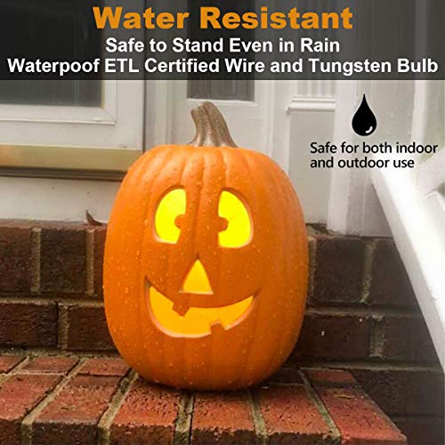 12" JackoLantern Decorations (13 inch Round Smile Face)