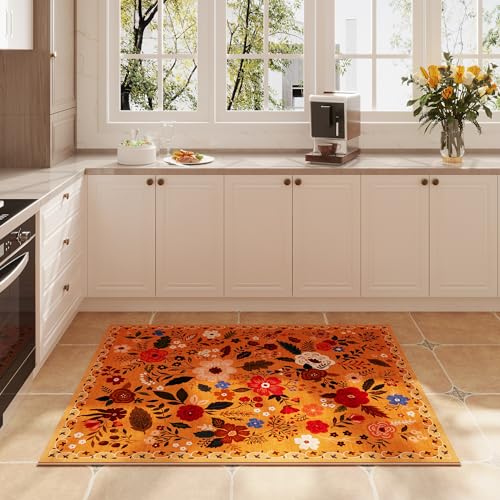 Door Mat 2x3 Area Rug Washable