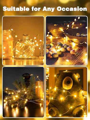 2 Pack 40FT 120LED Fairy Lights Battery Operated Lights Remote Warm White (2 Count)
