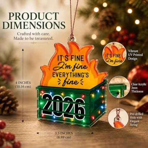 Funny Dumpster Fire Ornament 2026