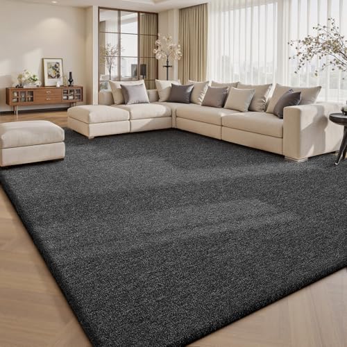 6x9 Area Rugs for Living Room Bedroom