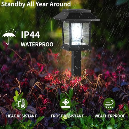 Solar Pathway Lights Outdoor (12 Count)