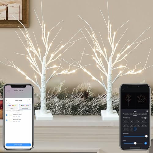 Smart Christmas Decorations Indoor (2 Count)