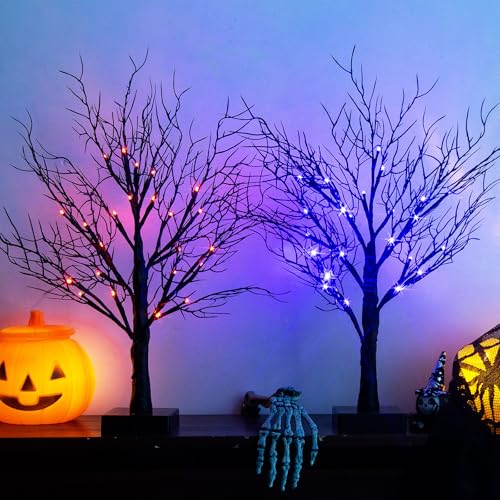 Halloween Decorations Indoor (2 Count)