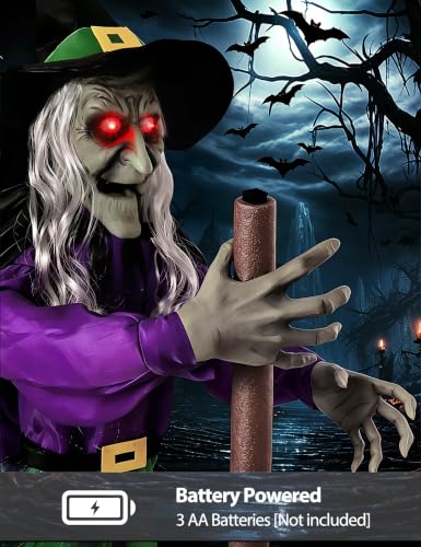 Halloween Decorations Outdoor (Witch)