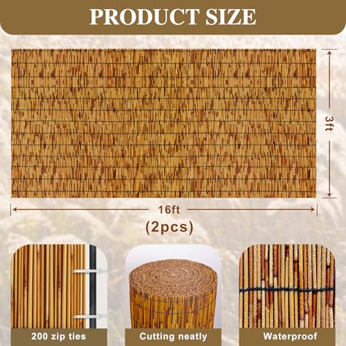 Reed Fencing Rolls (96 Sq Ft)