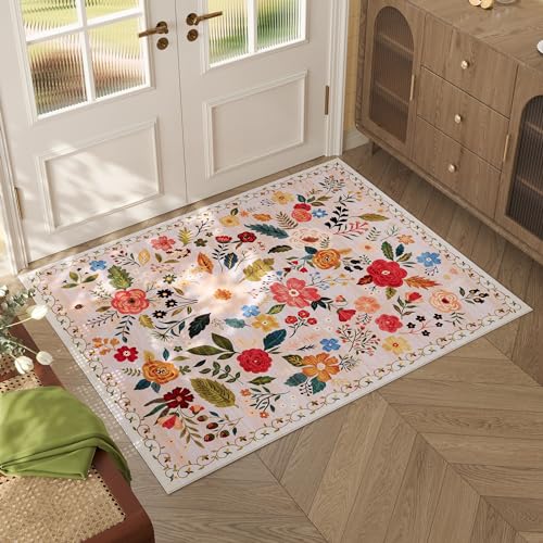 Door Mat 2x3 Area Rug Washable
