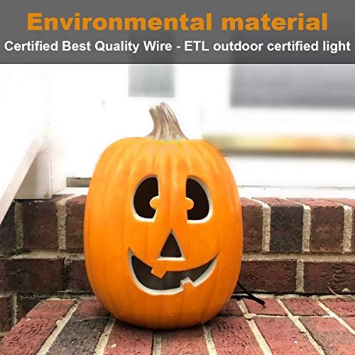 12" JackoLantern Decorations (13 inch Round Smile Face)