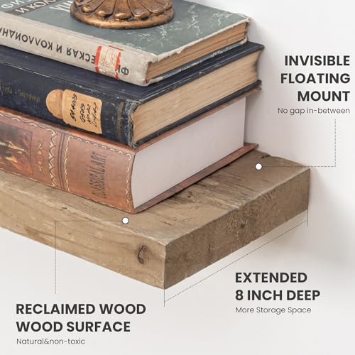 Floating Shelves (2 Count)