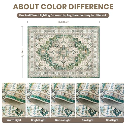 8x10 Area Rugs for Living Room