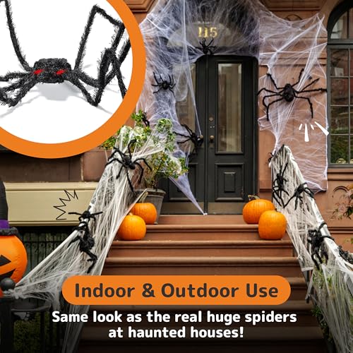 Halloween Spider with Light Up Eyes