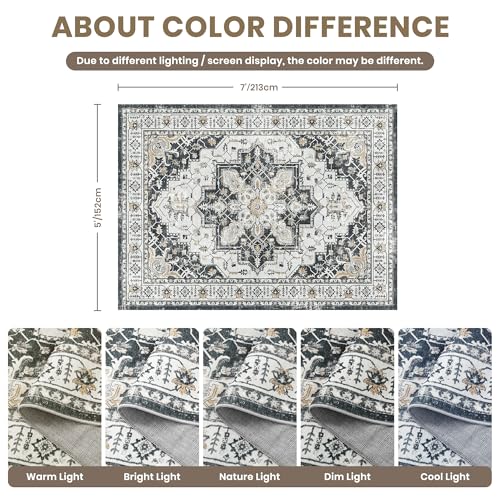 5x7 Area Rugs for Living Room