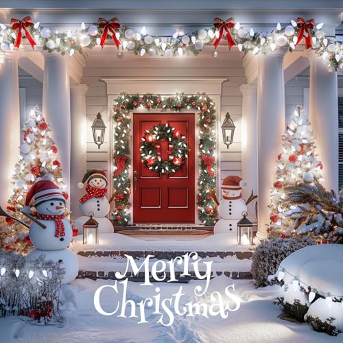 2 Pack White C9 LED Christmas Lights Outdoor (50 Count)