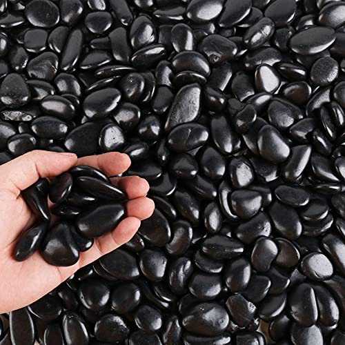 Black Pebbles for Plants 3lb Bulk Bag 0.5" (48 Ounce)
