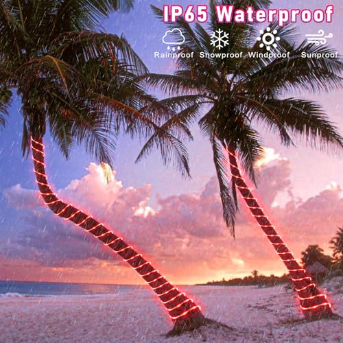 66FT 200 LED Rope Lights for Outside