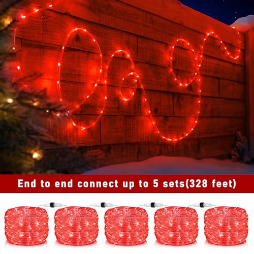 66FT 200 LED Rope Lights for Outside