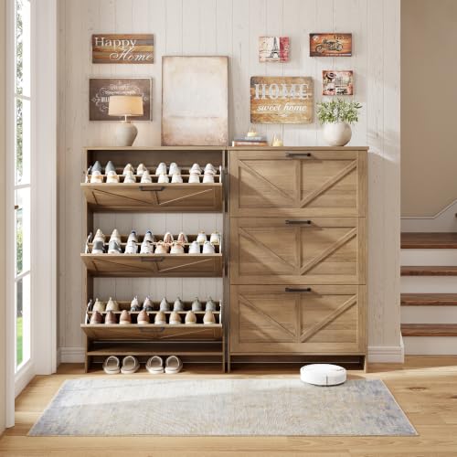 Shoe Cabinet for Entryway