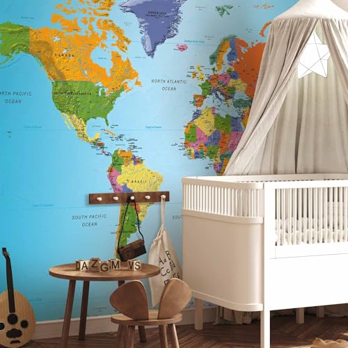 Wall Mural World Map 173x124 in (149.51 Sq Ft)