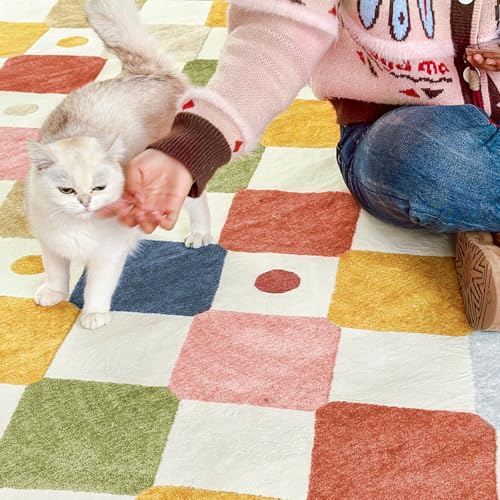 5x7 Nursery Rug Washable Kids Playroom Rug Colorful Classroom Decor (35 Sq Ft)