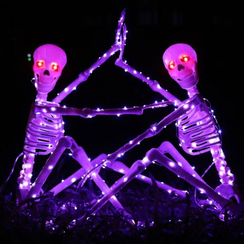 Halloween Decorations Outdoor Skeletons Set (Purple)