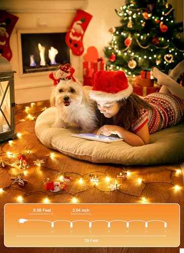 200 LED Christmas Mini Lights
