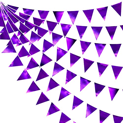Purple Party Decorations Triangle Pennant Banner Flag Dark Purple Metallic Fabric Bunting Garland for Graduation Wedding Bridal Shower Birthday Anniversary Holiday Halloween Disco Party Supplies (36 Count)