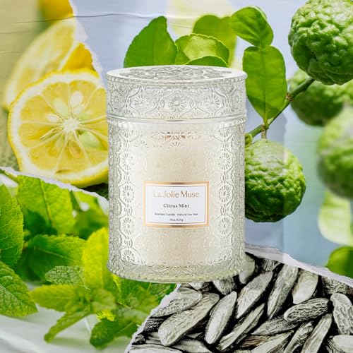 Citrus Mint Scented Candle for Home (19.4 Ounce)