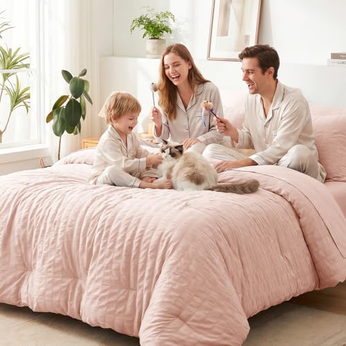 Queen Comforter Set
