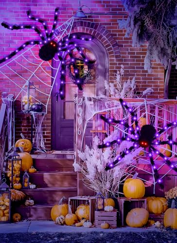 59" Halloween Spider Decoration (Black)