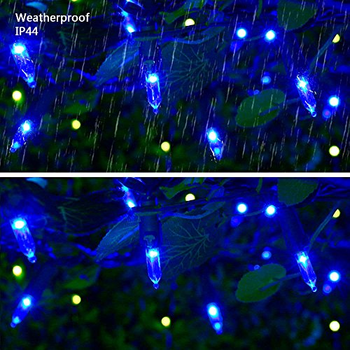 Blue Christmas Lights (33 Foot)