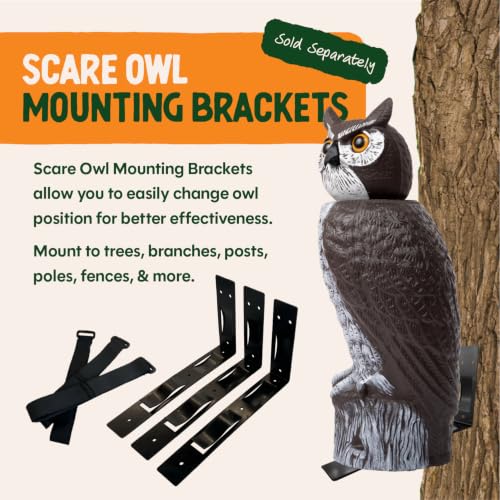 Large Rotating Head Fake Owl Decoy to Scare Birds Away