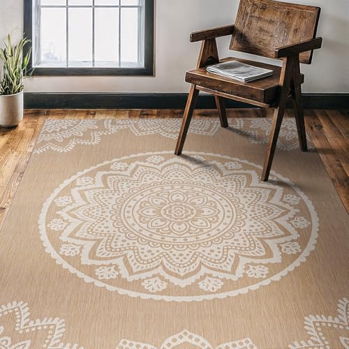 Outdoor Rug 6x9 Modern Area Rugs for Indoor and Outdoor Patios and Porches