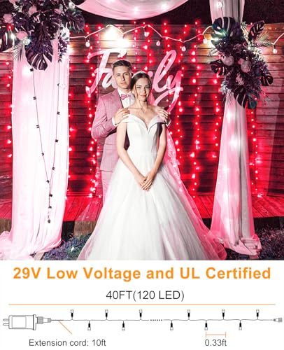40FT 120 LED Christmas Lights Outdoor