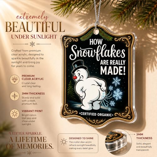 Snowflakes Funny Christmas Inappropriate Christmas Ornaments 2026