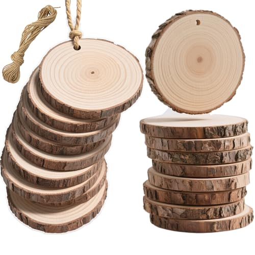 20PCS Pre Drilled Wood Slices with Holes (20 Count)