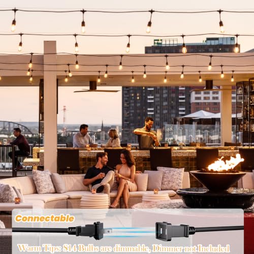 96 FT Outdoor String Lights 2W (96 Foot)