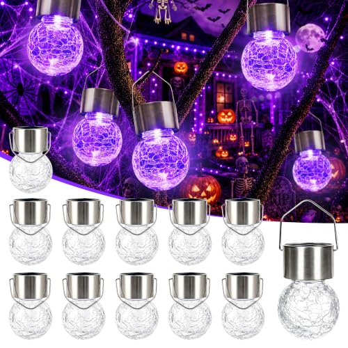 Halloween Solar Lights Outdoor Solar Hanging Lanterns Outside 12PC (12 Count)