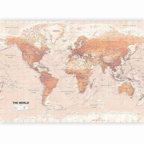 Wall Mural World Map 116x83 in (66.41 Sq Ft)