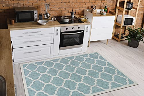 Outdoor Indoor Area Rug