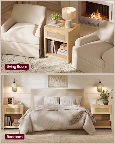 Set of 2 Boho Nightstands with Rattan (2 Count)