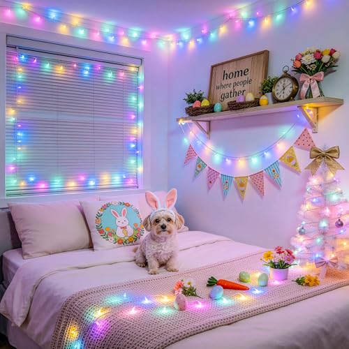 200 LED Easter Lights for Classroom Decor (66 Foot)