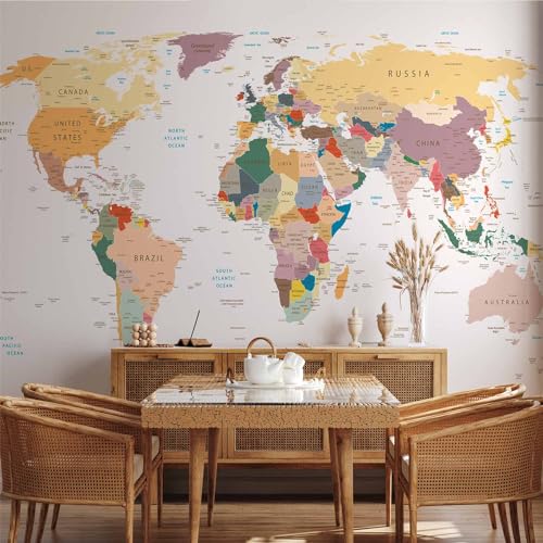 Wall Mural World Map 154x110 in (118.18 Sq Ft)