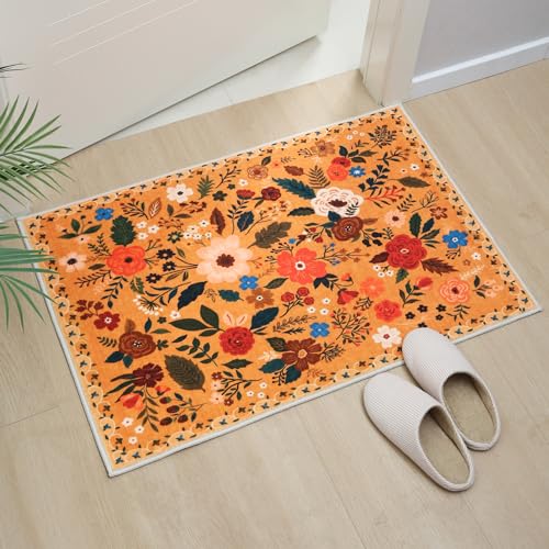 Door Mat 2x3 Area Rug Washable